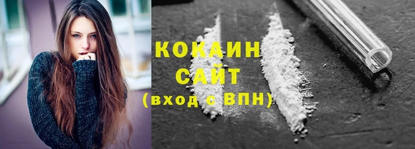 прущие грибы Балабаново